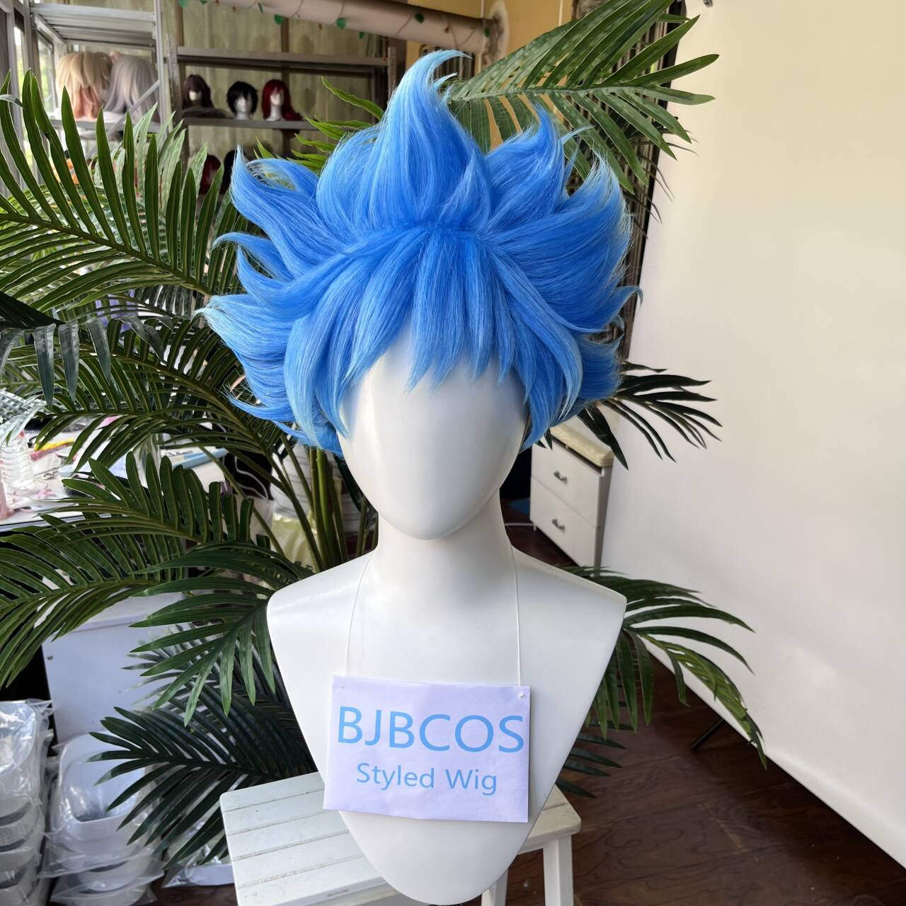 [Styled Wig]Ortho Cosplay Wig  - Men Accessories Korea ulasan dan harga