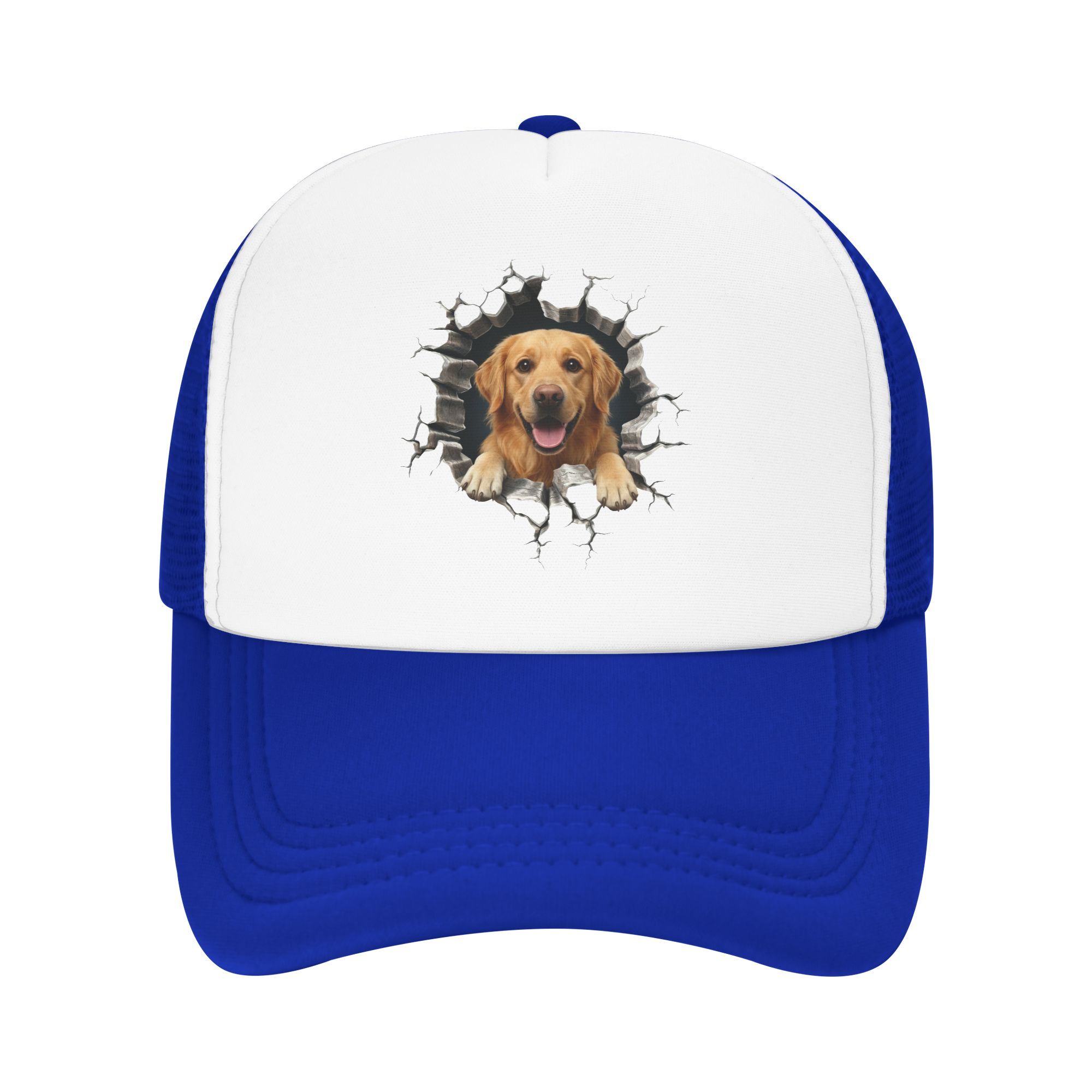Breaking Through Golden Retrie - Hat Snapback Cap ulasan dan harga