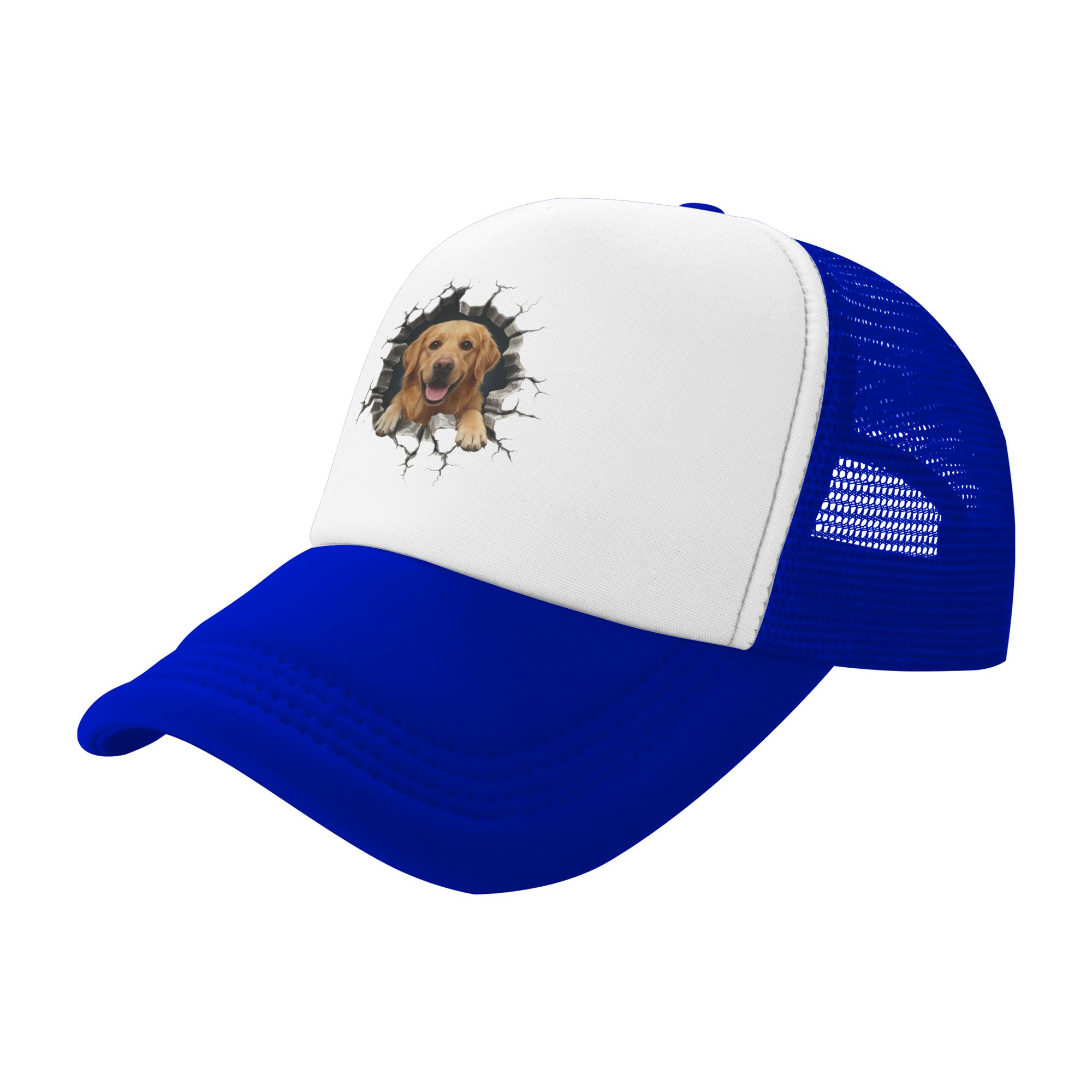 Breaking Through Golden Retrie - Hat Snapback Cap ulasan dan harga